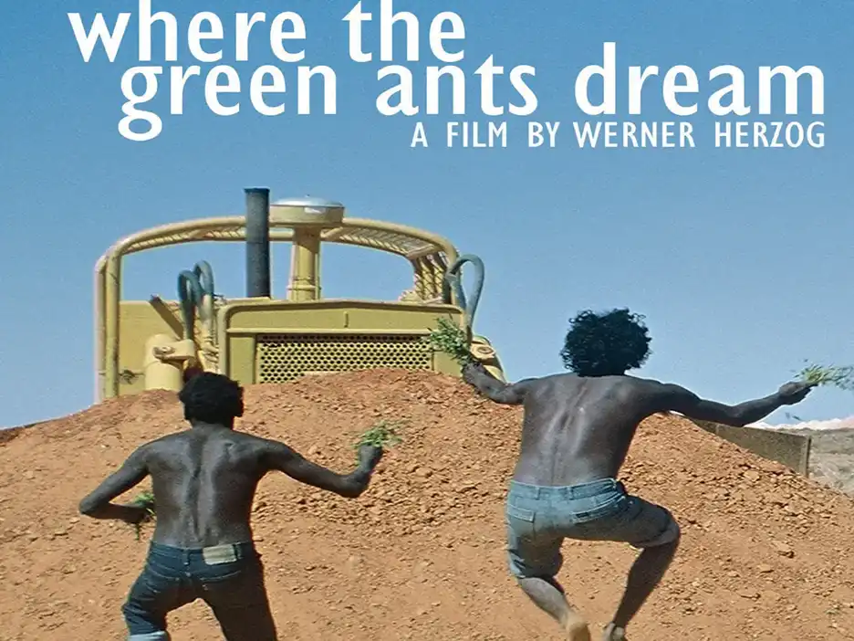 Where the green ants dream